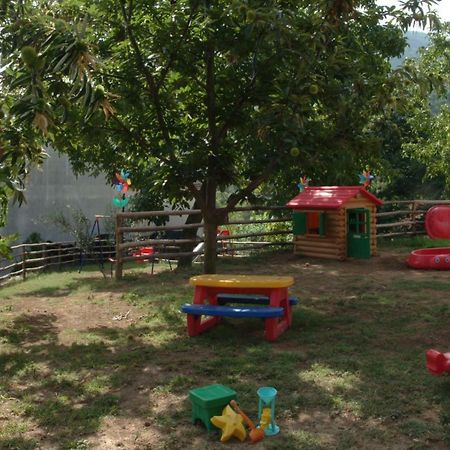 Agriturismo Costiera Amalfitana Tramonti Dış mekan fotoğraf